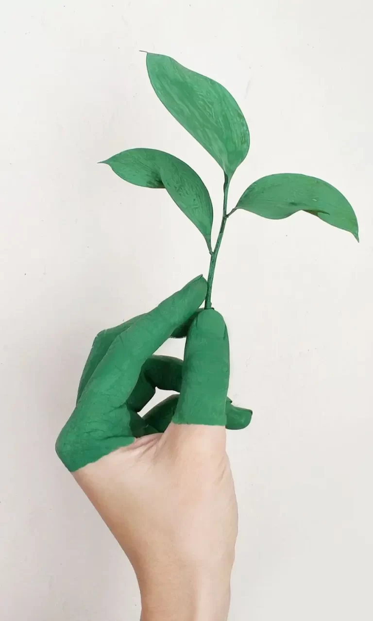 Mano sosteniendo una planta de color verde